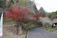 IMG_0101 IMG_0101