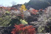 IMG_0113 IMG_0113