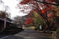 IMG_0154 IMG_0154