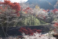 IMG_0227 IMG_0227