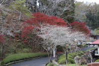和紙のふるさと 和紙のふるさと