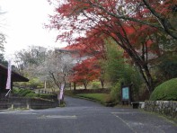 和紙のふるさと 和紙のふるさと