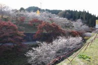 小原ふれあい公園 小原ふれあい公園