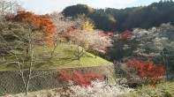 小原ふれあい公園 小原ふれあい公園