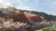 小原ふれあい公園 小原ふれあい公園