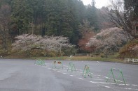 和紙のふるさと 和紙のふるさと