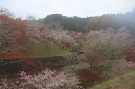 小原ふれあい公園 小原ふれあい公園