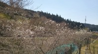 DSC_1605 DSC_1605