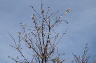 IMG_0386 IMG_0386