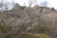 IMG_0390 IMG_0390